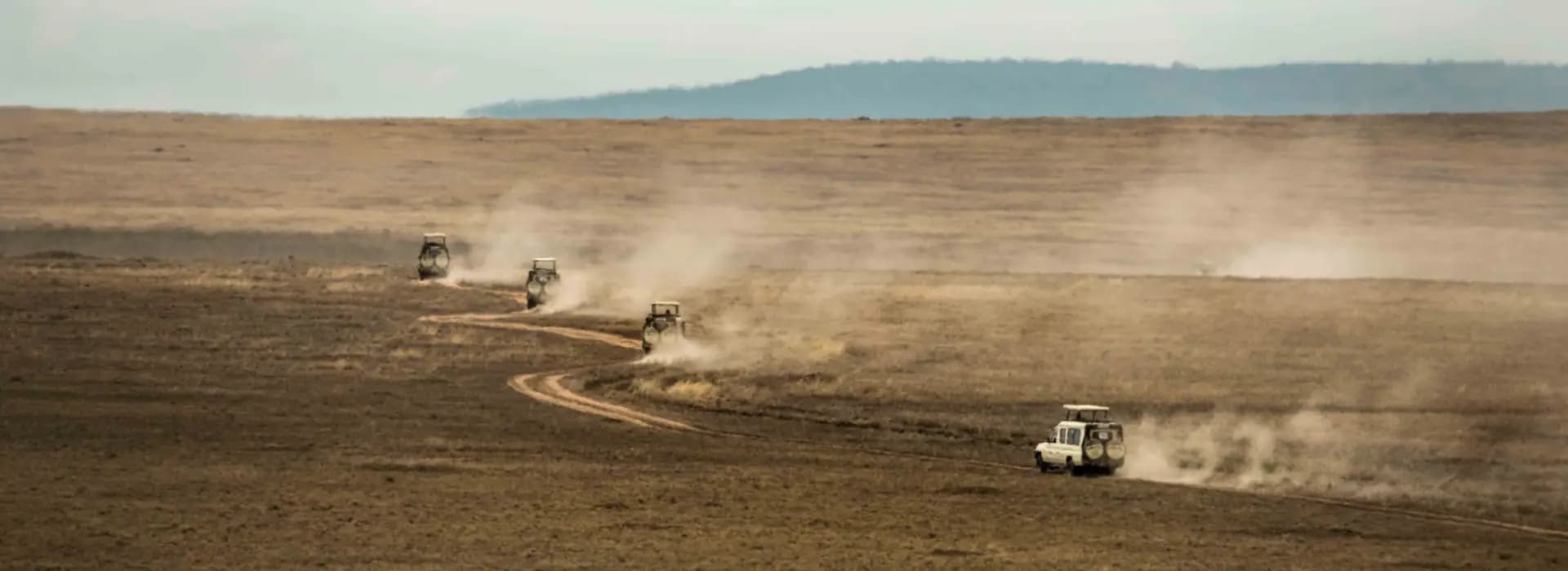 Safari Excellence