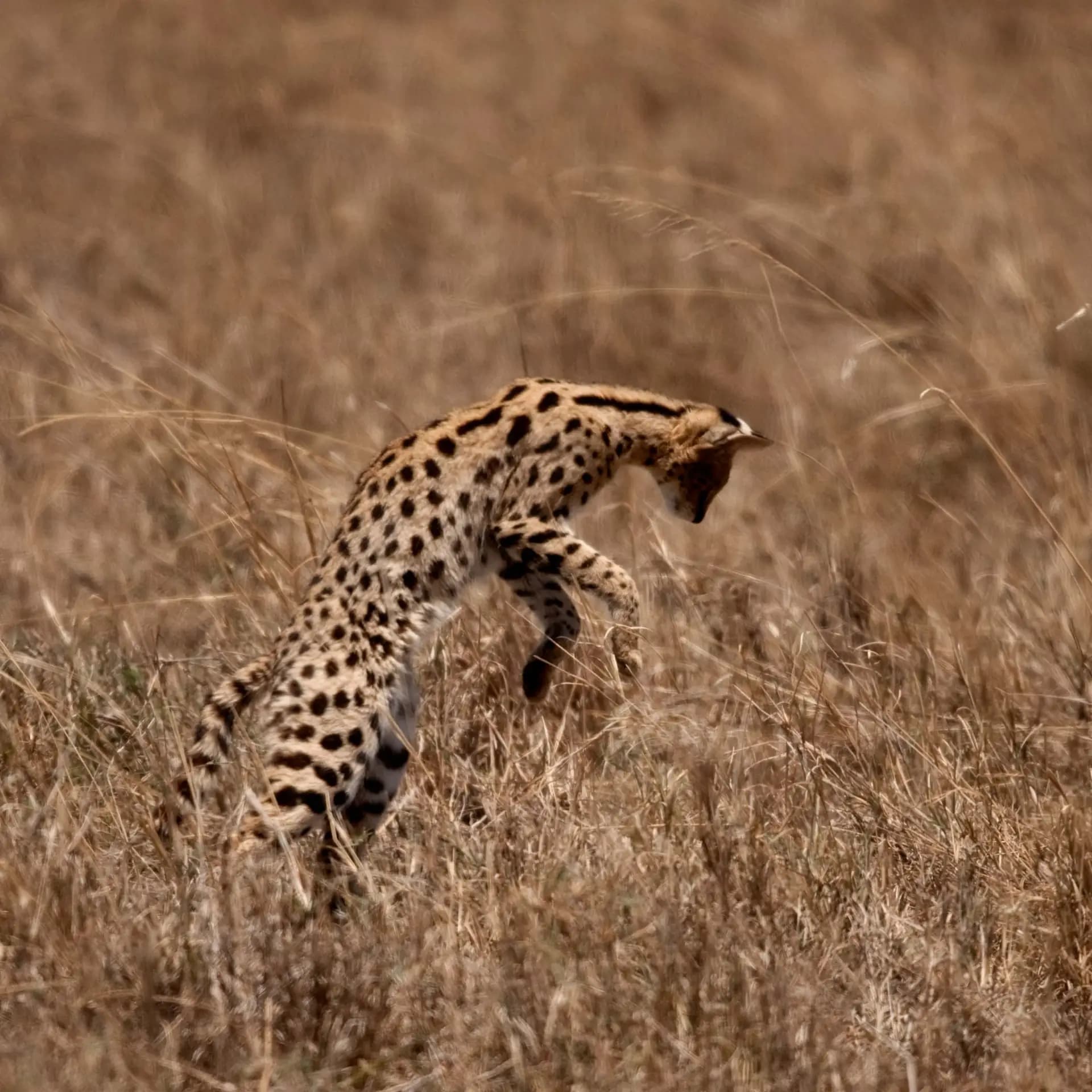 Lake Manyara